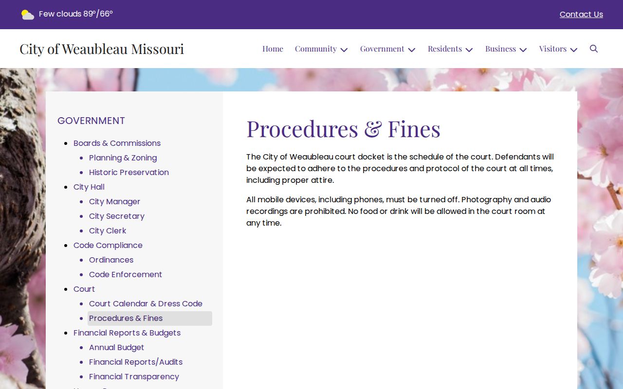 Weaubleau court docket terminology and courtroom conduct rules